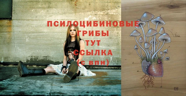 герыч Бугульма