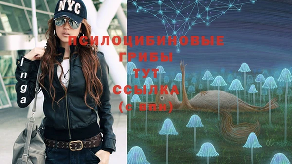 героин Бородино