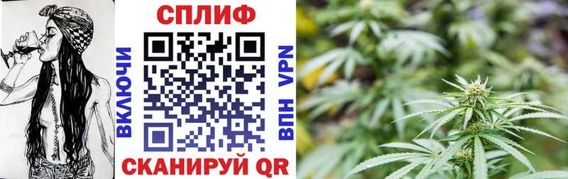 МЕГА маркетплейс  Новохопёрск  МАРИХУАНА AK-47 